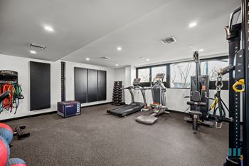 Well-equipped fitness center with assortment of medicine balls, free weights, treadmills, and universal exercise equipment